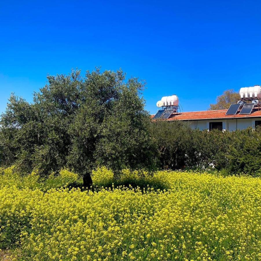 Bare Hill Holiday Apartments Krini Экстерьер фото